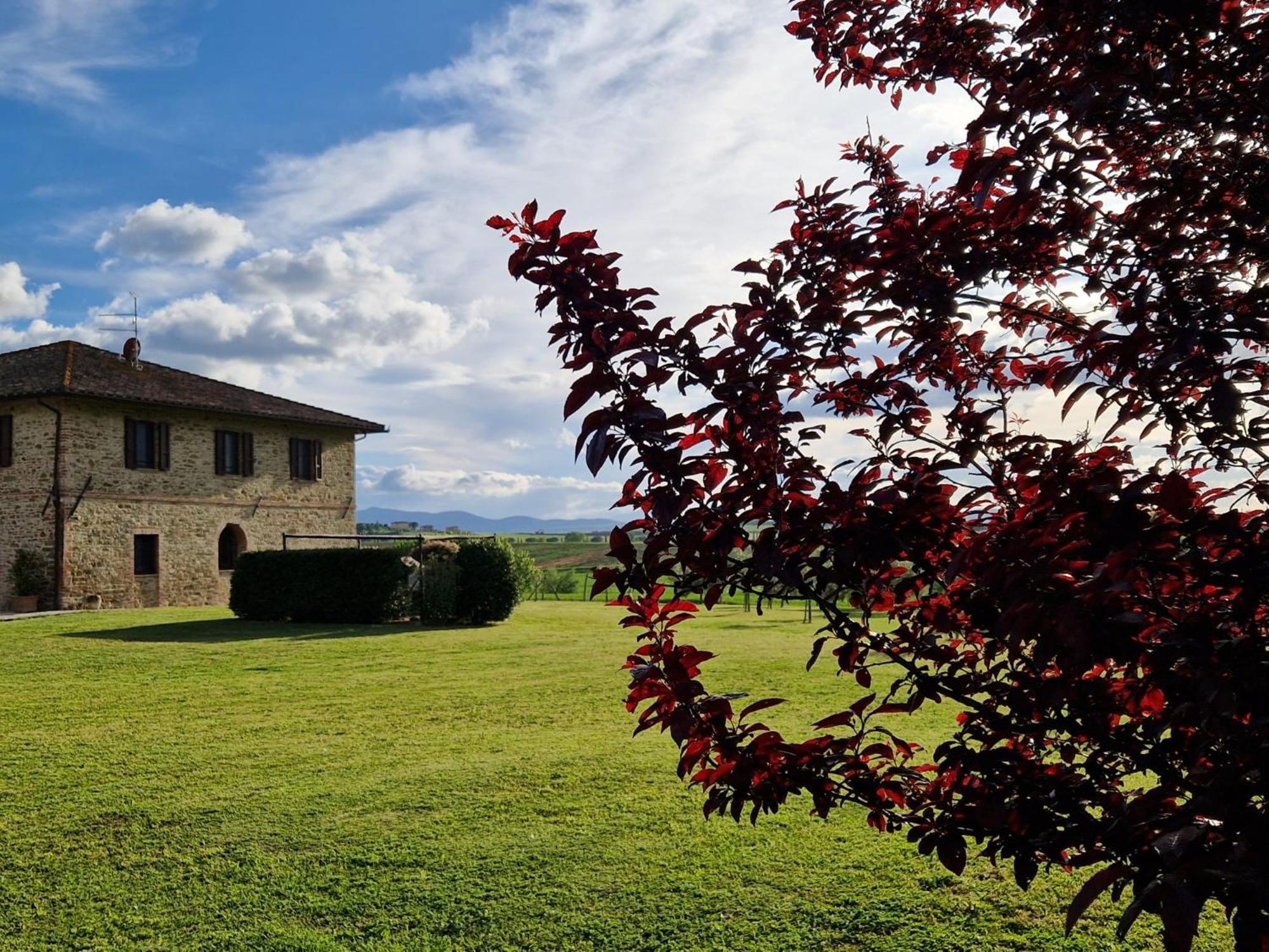 Podere Molinaccio Panicale Exterior foto
