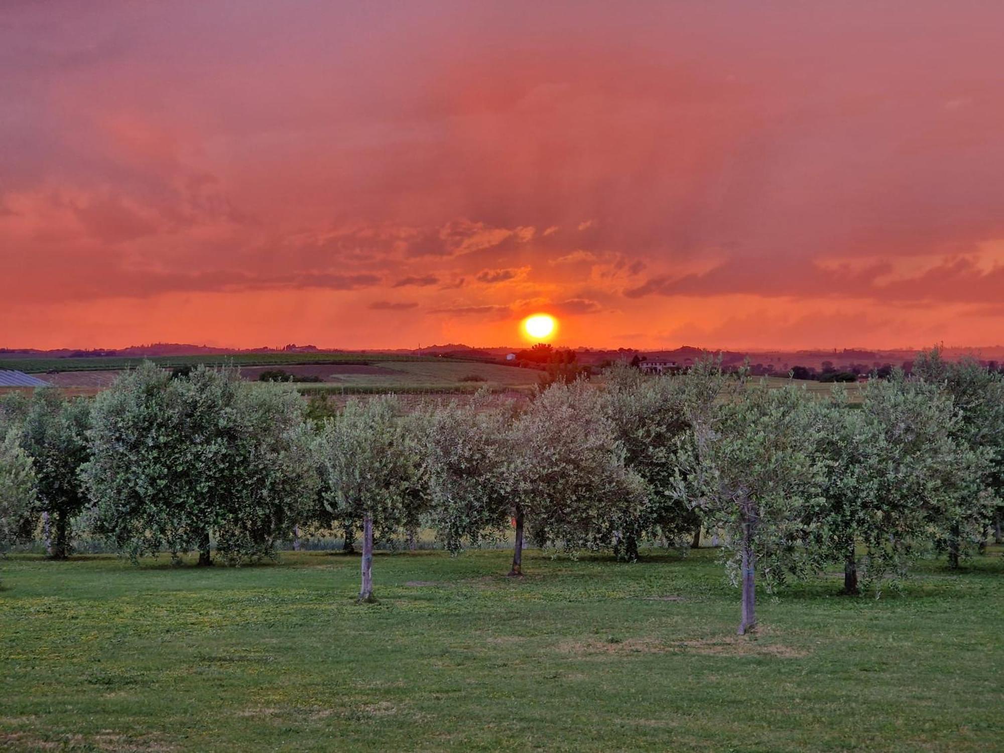 Podere Molinaccio Panicale Exterior foto